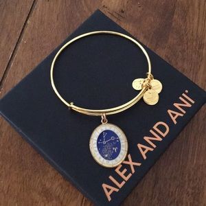 Alex and Ani Aries bracelet